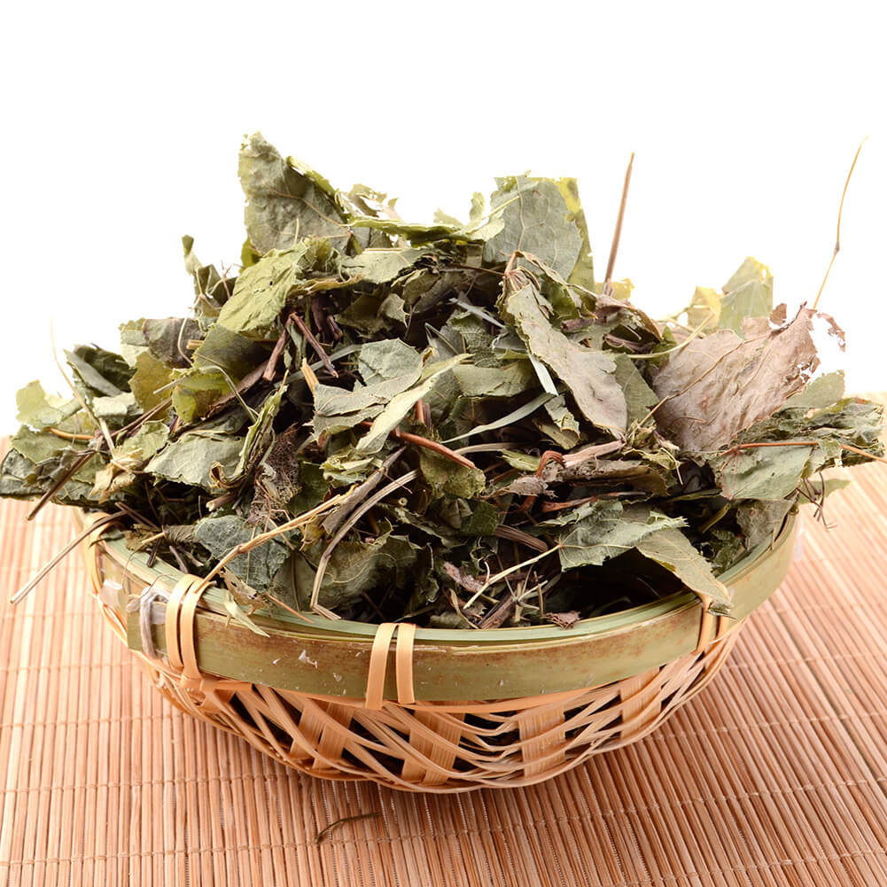 Herba Epimedii(음양화)
